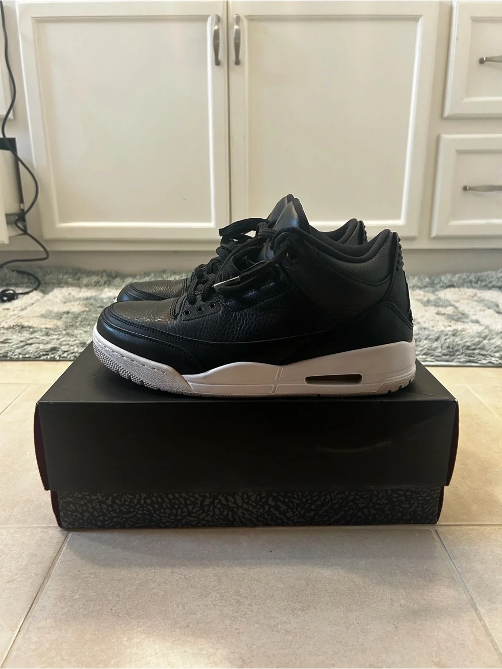 Air Jordan 3s size 9